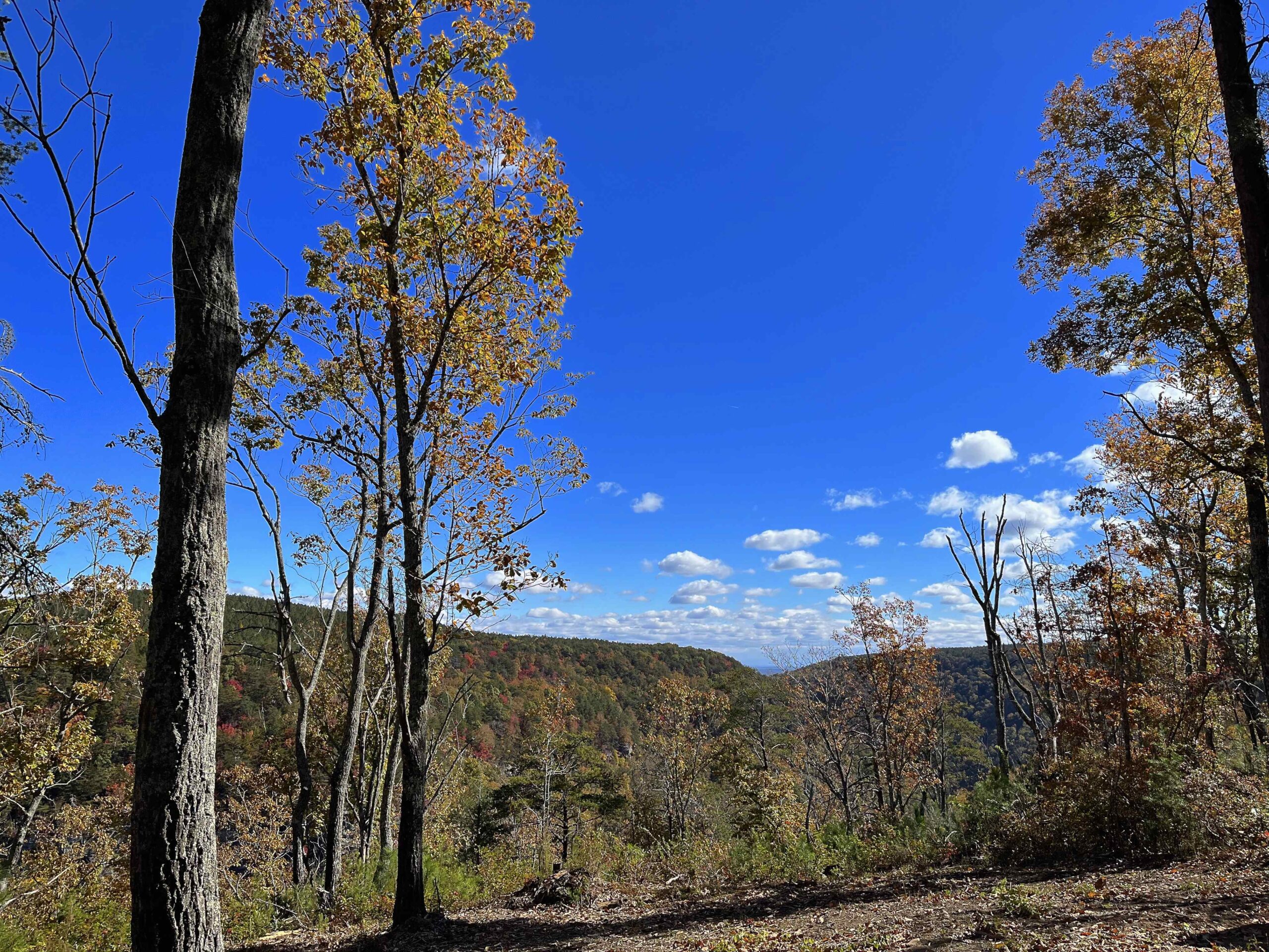 Lot 11 territorial view with blue skies