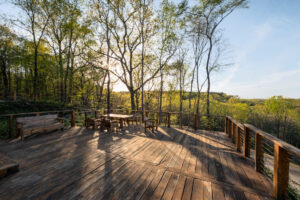 Cody's Spring Lots 2025-1670-28